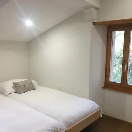 מלון La Dent-du-midi & Restaurant 2*