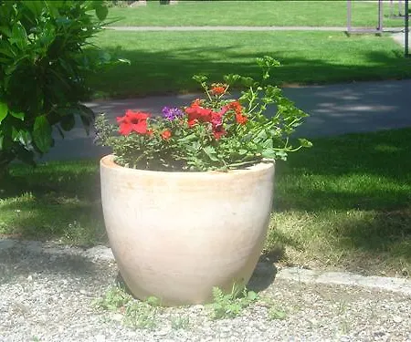 La Dent-du-midi & Restaurant סן-מוריס