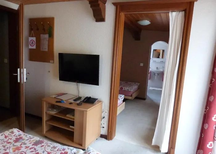 Hotel La Dent-du-midi Hôtel&restaurant