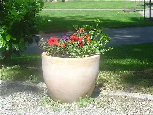 La Dent-du-midi & Restaurant Saint-Maurice